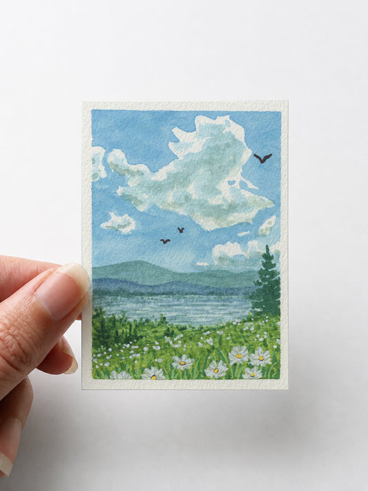 Nature 002