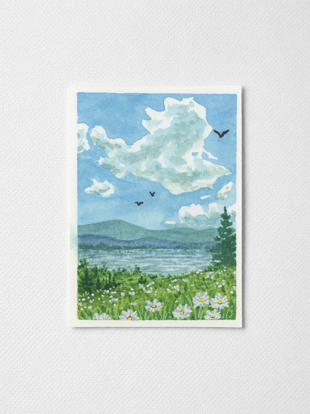 Nature 002