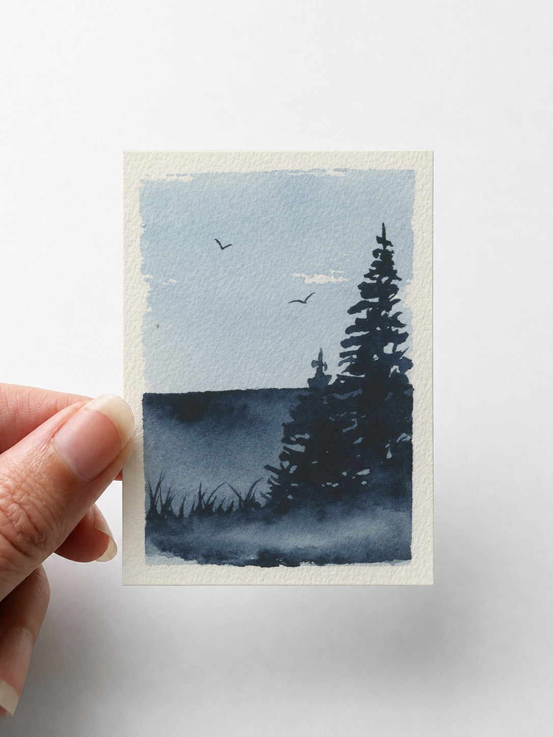 Trees 003