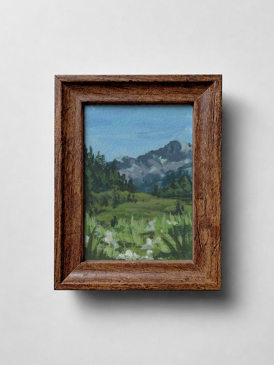 Nature 001