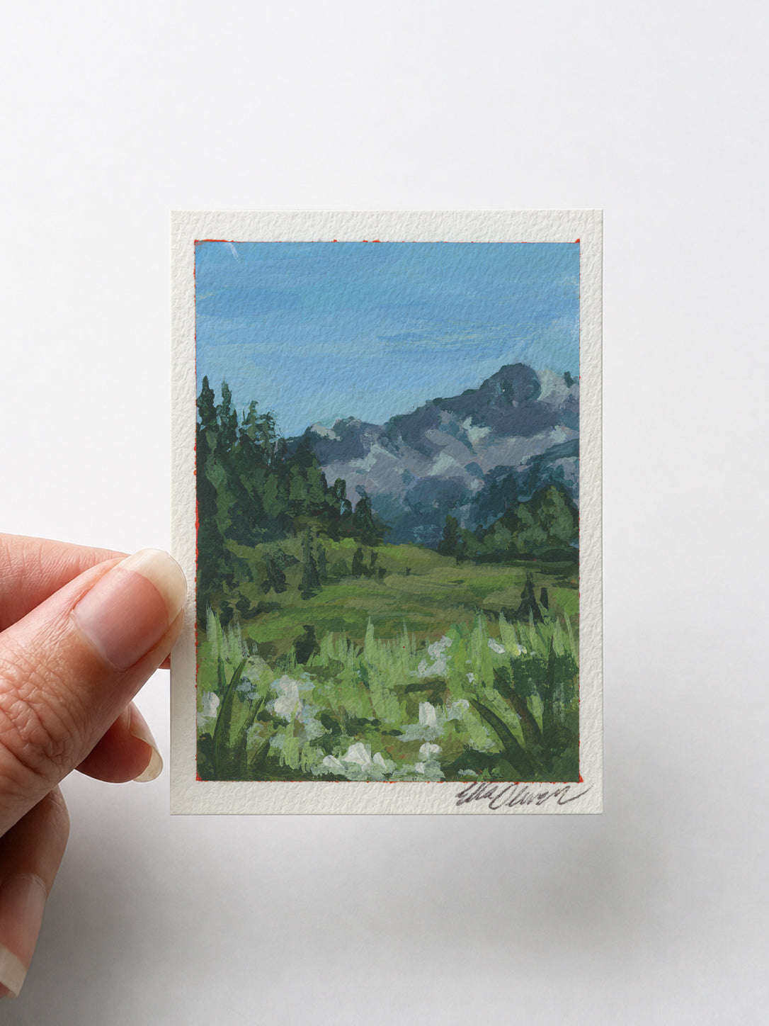 Nature 001