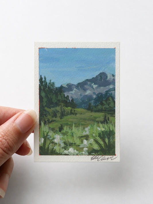 Nature 001